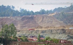 Tambang Datang, Burung Endemik di Halmahera Tengah Menghilang