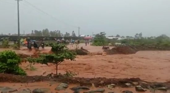 Mimpi Dunia ‘Nol Emisi’, di Timur Indonesia